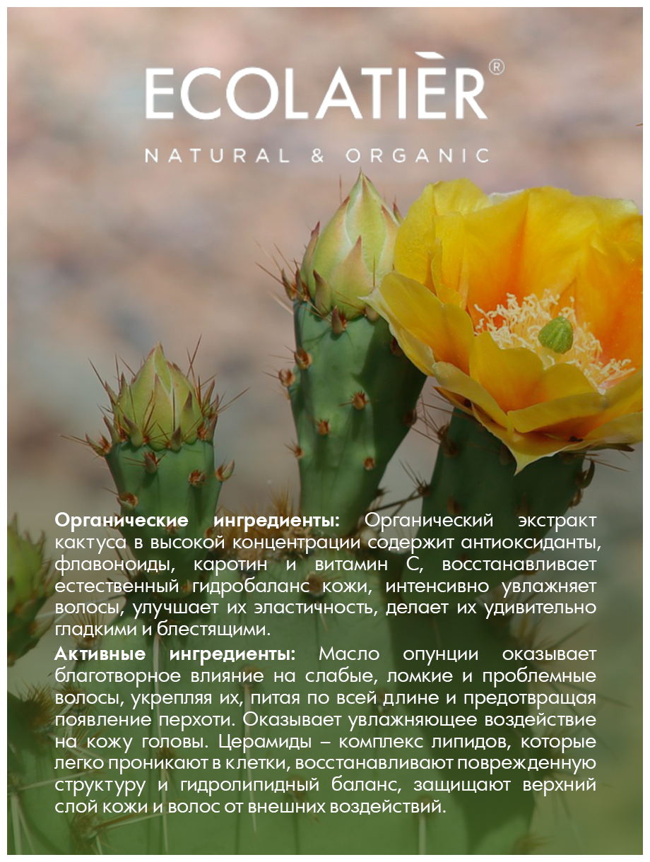 Ecolatier/GREEN Бальзам для сухих волос Гладкость & Красота Серия ORGANIC CACTUS, 250 мл