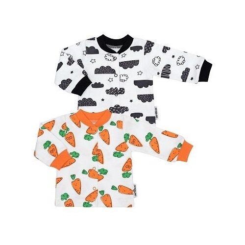 Комплект кофточек Эскимо (пенье, 2шт) р.48-74 27-201