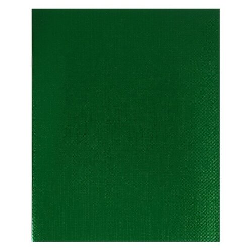 Hatber Тетрадь 48 листов в клетку на скрепке METALLIC Зелёная, обложка бумвинил, блок офсет