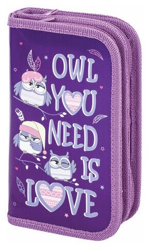 Пенал пифагор, 2 отделения, ламинированный картон, 19х11 см, Owls, 270169