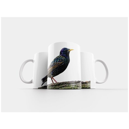 фото Кружка "птица, звезда, изолированный" 320 мл lotsprints