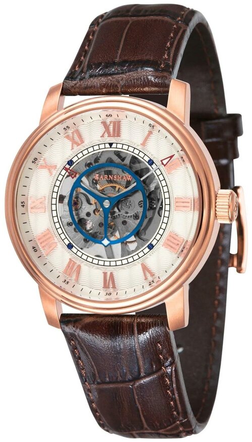 Наручные часы EARNSHAW Наручные часы Earnshaw ES-8096-03, коричневый