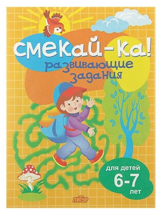 «Развивающие задания для детей 6-7 лет», Бортникова Е. Ф.