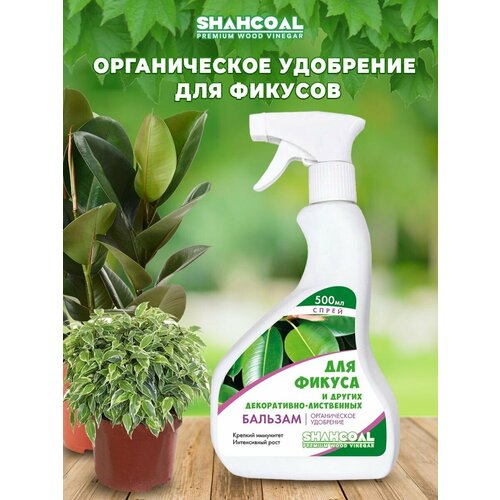 Бальзам для фикуса и декоративно-лиственных растений на основе древесного уксуса подкормка для комнатный растений
