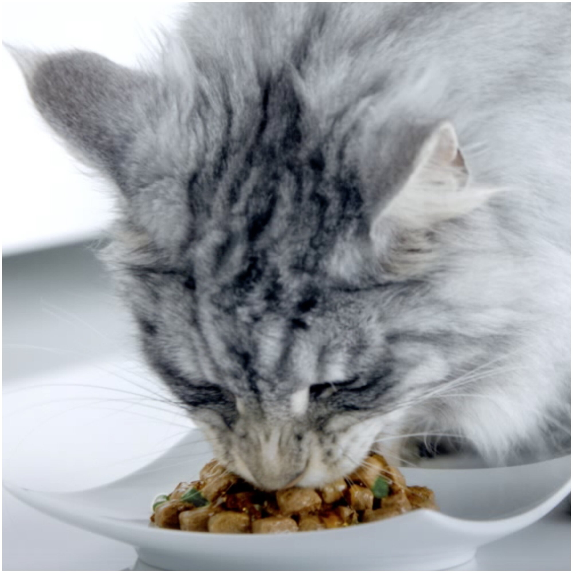 Корм консервированный для взрослых кошек PURINA ONE с курицей и зеленой фасолью, для стерилизованных, 75 г - 30 шт. - фотография № 10