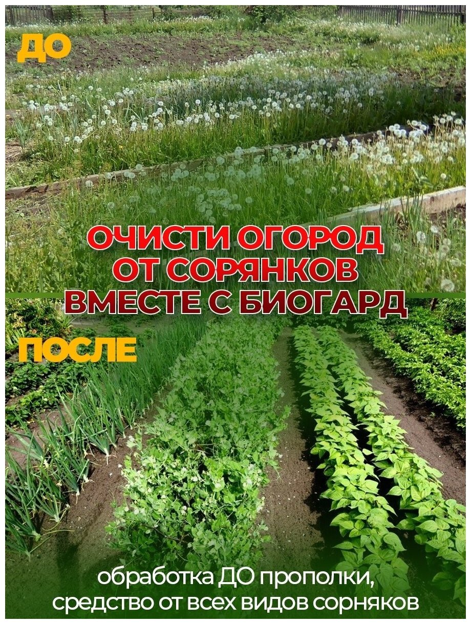 Биогард удобрения от сорняков, безопасное уничтожение, для сада и огорода, для газона, корнеудалитель,100 мл - фотография № 12