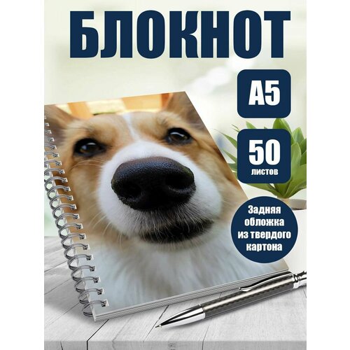 Блокнот Корги