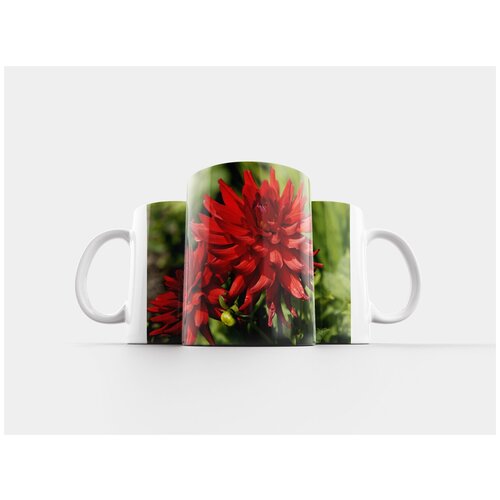 фото Кружка "георгины, красный, расцветает" 320 мл lotsprints