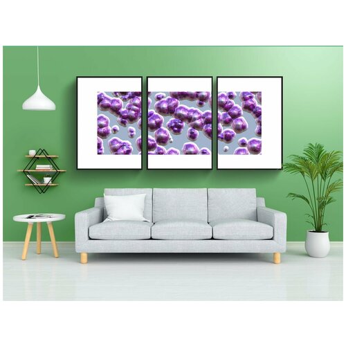 фото Набор модулных постеров для интерьера "знамя, заголовок, бактерии" 60x90 см. в тубусе, без рамки lotsprints