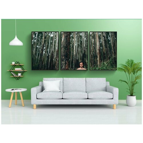 фото Набор модулных постеров для интерьера "джунгли, лес, деревья" 60x90 см. в тубусе, без рамки lotsprints