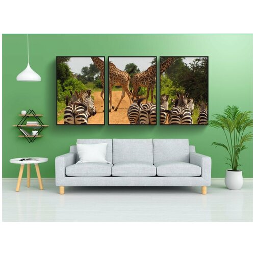 фото Набор модулных постеров для интерьера "зебры, танзания, микуми" 60x90 см. в тубусе, без рамки lotsprints