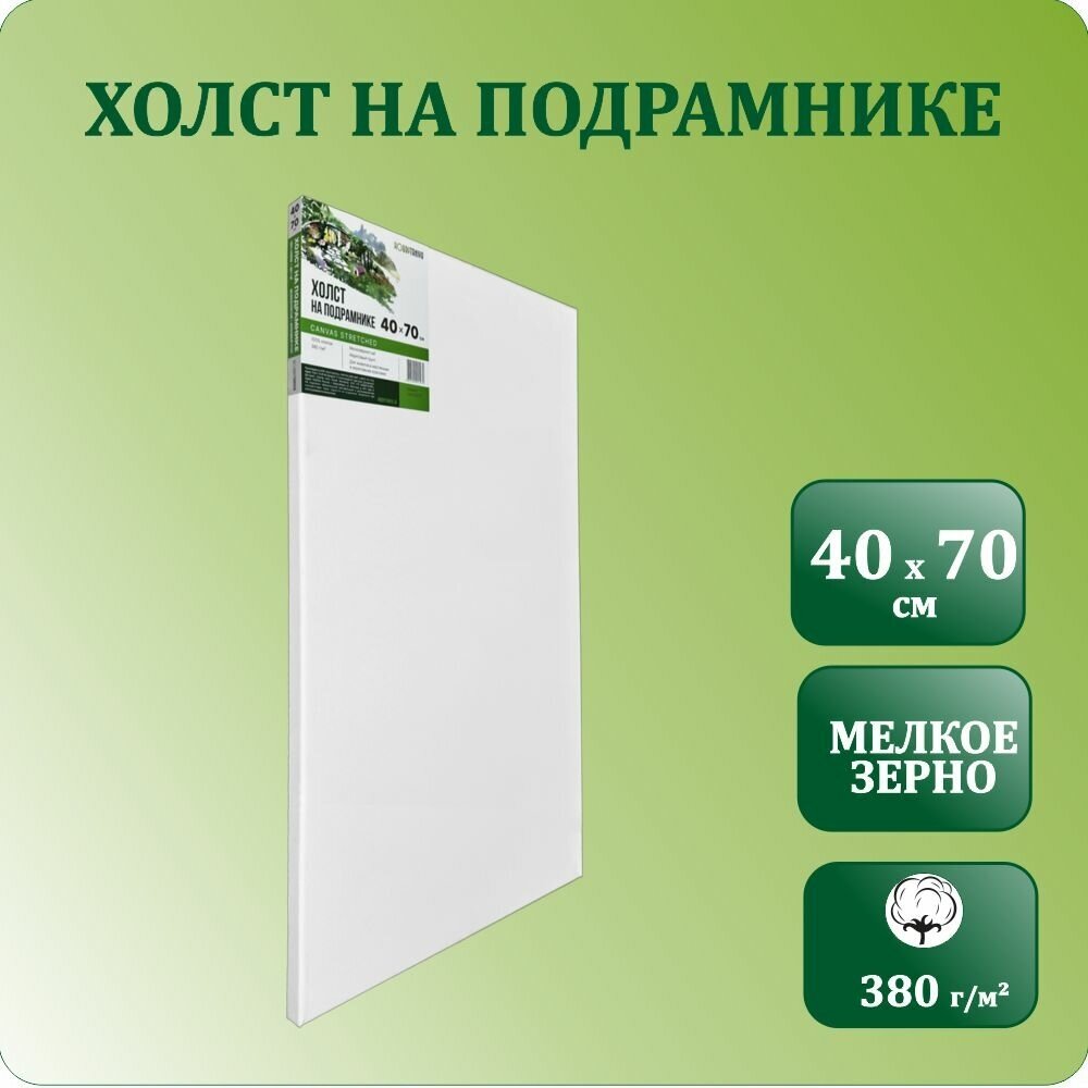 Холст на подрамнике 40х70 см, Хоббитания, хлопок 380 гр/м2, холст для рисования акриловыми и масляными красками, модульный подрамник, грунт акриловый