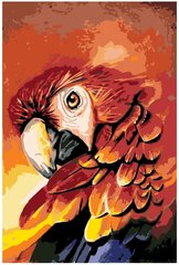 Огненный попугай Раскраска картина по номерам на холсте