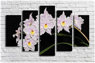 Модульная картина Ветвь орхидеи на черном фоне (Материал: Натуральный холст, Размер: 100x60 cм