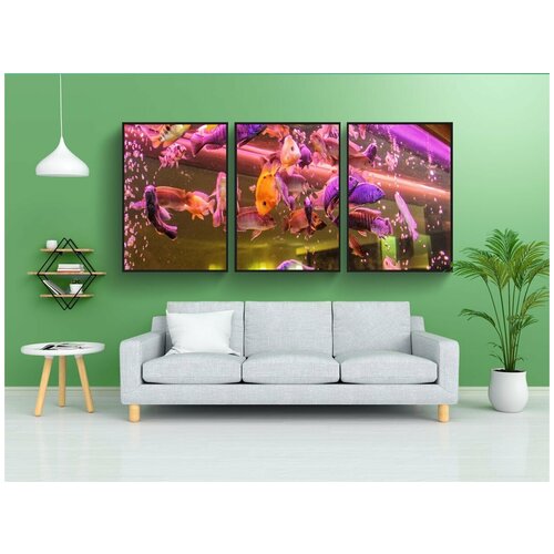 фото Набор модулных постеров для интерьера "аквариум, декоративная рыба, рыбы" 60x90 см. в тубусе, без рамки lotsprints