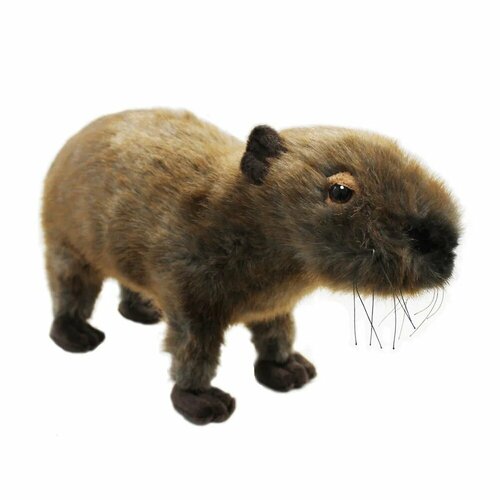 Мягкая игрушка Beppe Капибара арт.13993