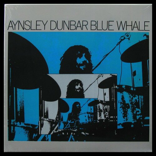 Виниловая пластинка Not On Label Aynsley Dunbar Blue Whale 4400₽