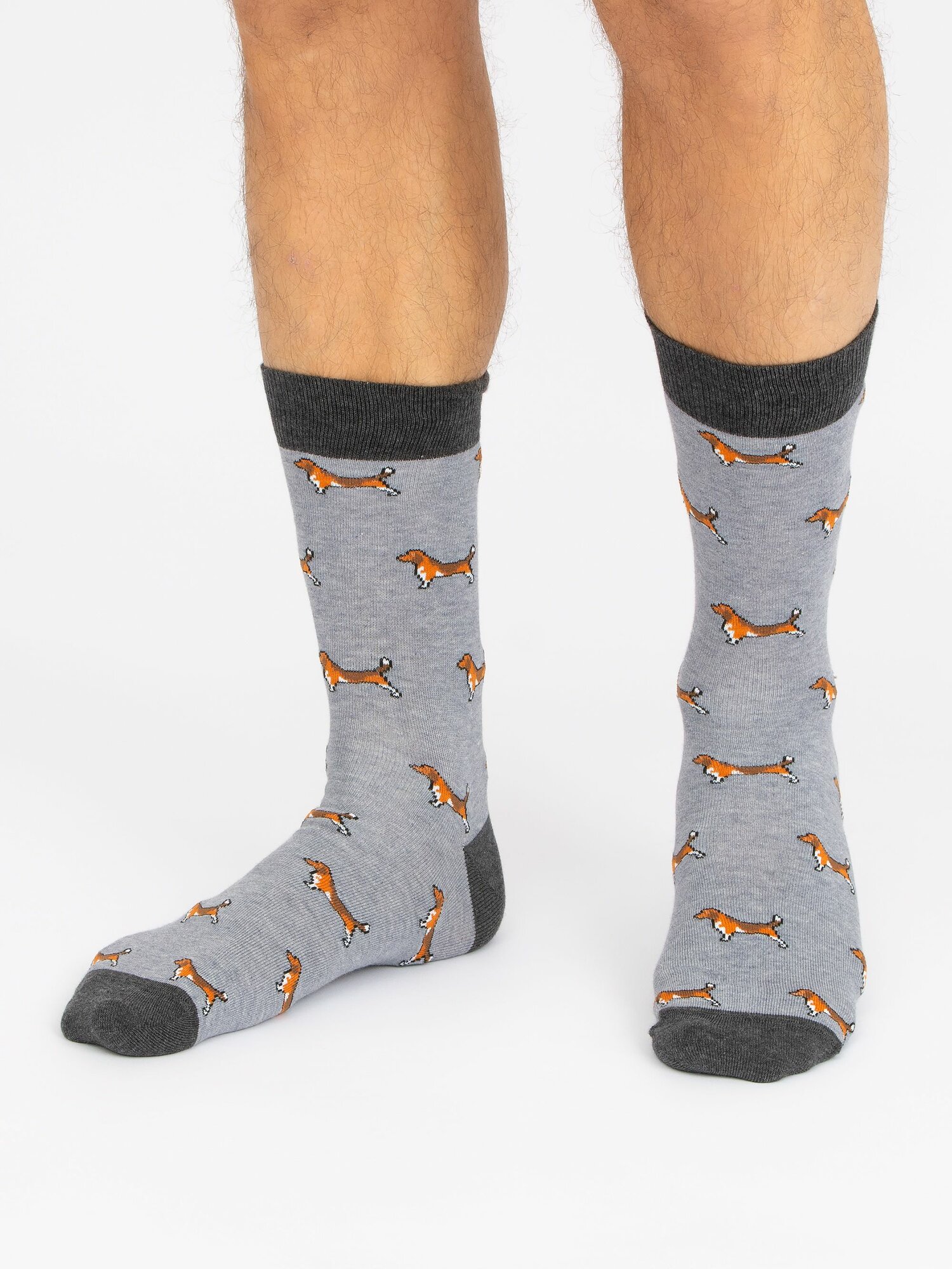 Носки Just Socks Базовая коллекция, размер 25, серый