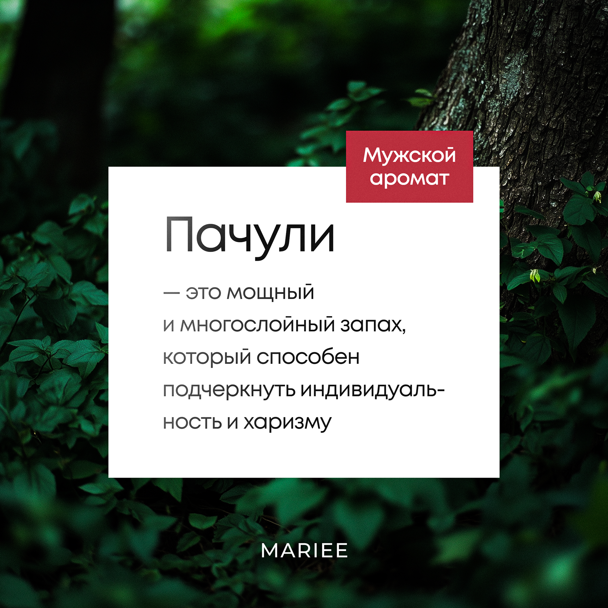 Гель для душа мужской — фото 1