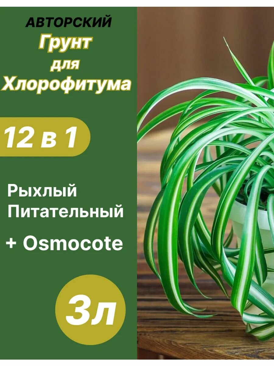 Грунт для Хлорофитума 3л готовый