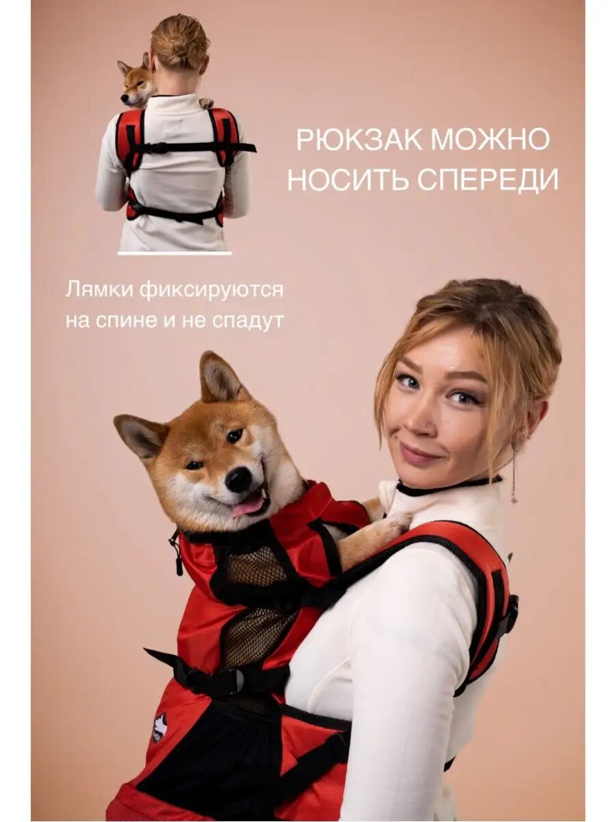 Рюкзак для собаки — фото 1