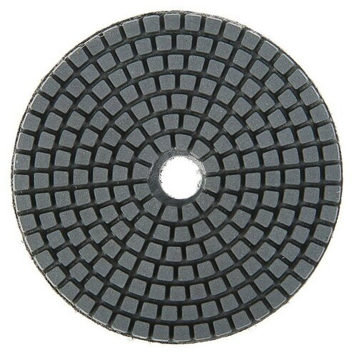 Алмазный гибкий шлифовальный круг тундра Черепашка, для мокрой шлифовки, 100 мм, № 10000