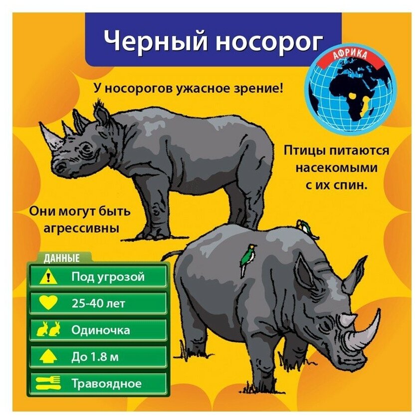 Настольная игра ИнтерХит Сундучок знаний В мире животных 90702 BRAINBOX - фото №3