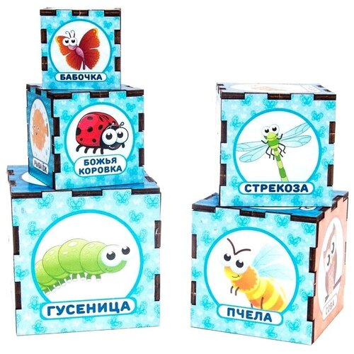 Сортер-пирамидка 