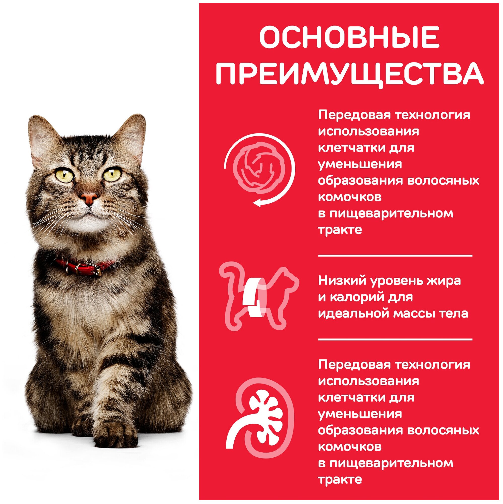 Хиллс 604490 Senior Hairball Control сух.д/пожилых кошек вывод шерсти из желудка 1,5кг - фотография № 14