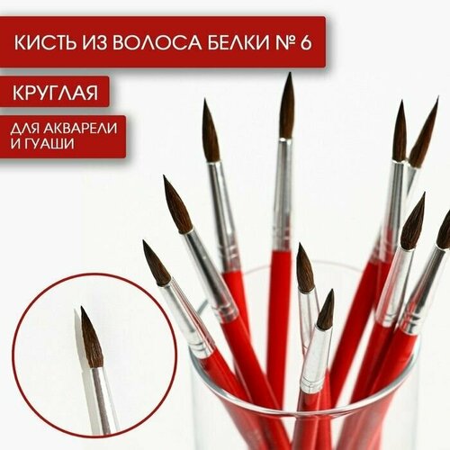 Кисть из волоса белки круглая № 6, (Короткая ручка), 10 шт.