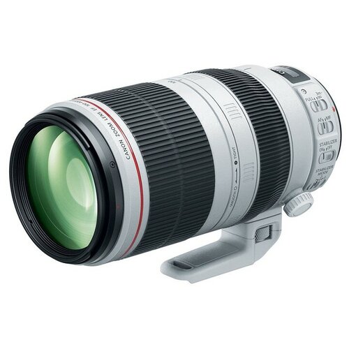 Canon EF 100-400mm f/4.5-5.6L IS II USM