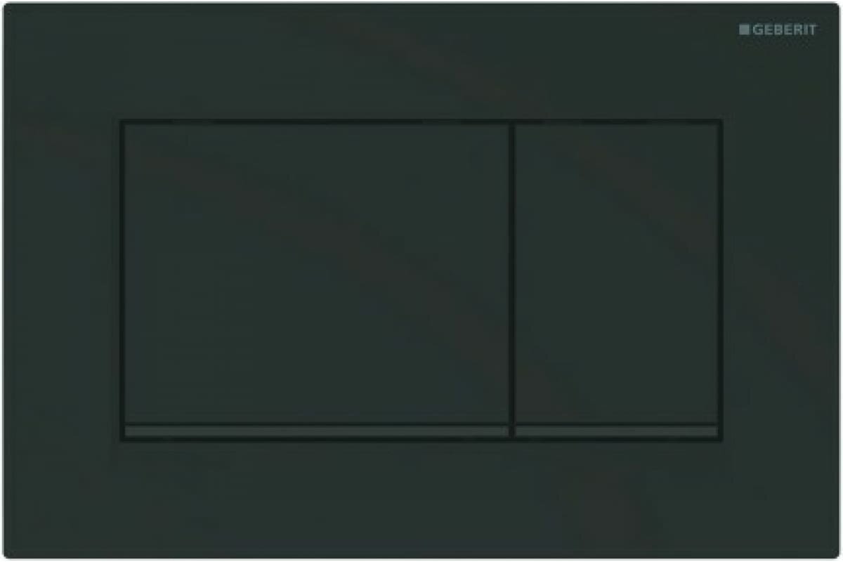 фото Кнопка смыва Geberit Sigma 30 115.883.16.1 черный/черный матовый