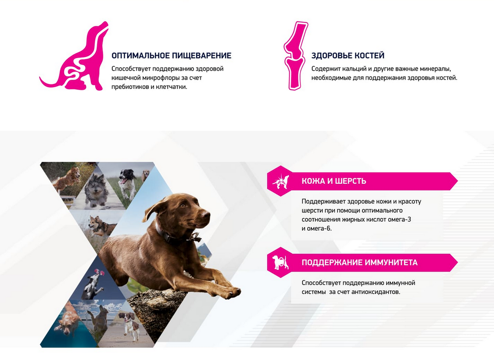 EUKANUBA DOG ADULT BEEF для взрослых собак с говядиной в соусе 100 гр (100 гр х 24 шт) - фотография № 12