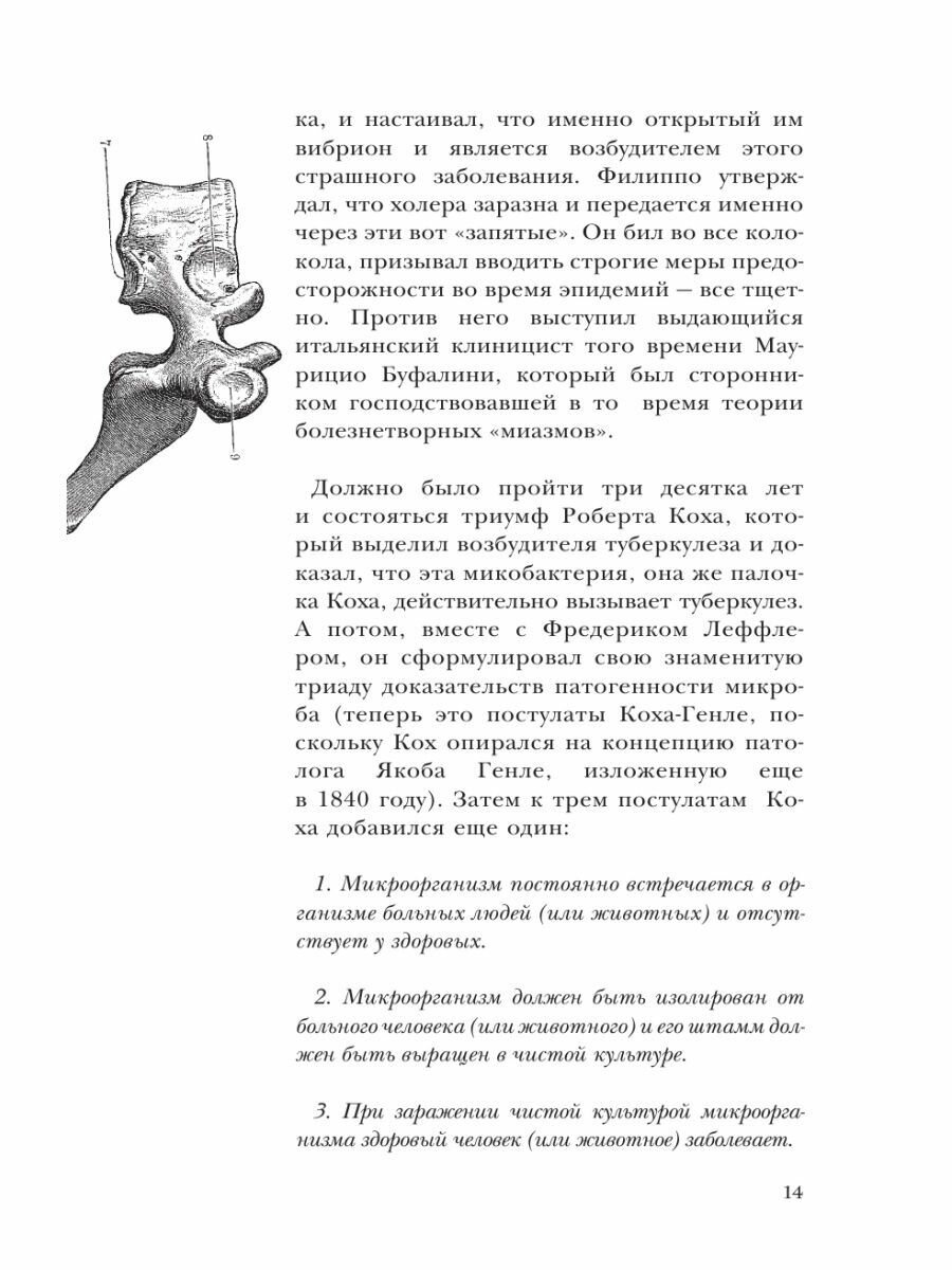 Вот холера! (Паевский Алексей Сергеевич, Хоружая Анна Николаевна) - фото №17