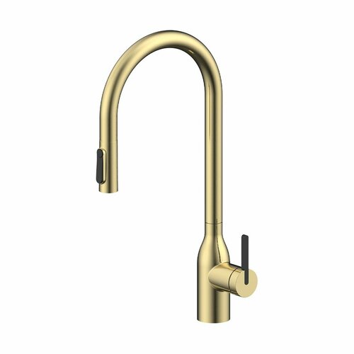 фото Смеситель для кухни с выдвижным изливом paulmark universal светлое брашированное золото, с подключением фильтра питьевой воды, un213880-sbg