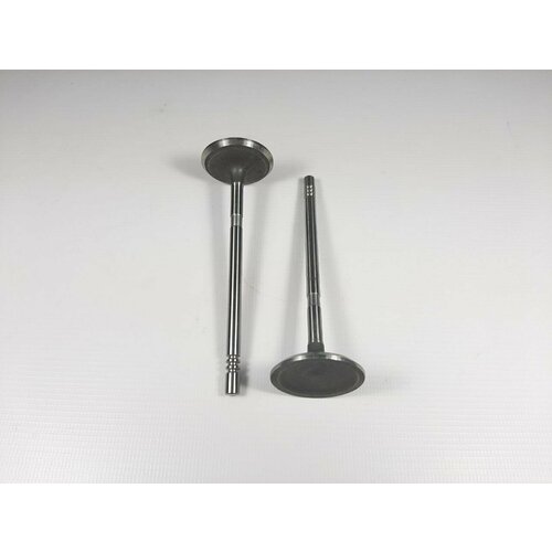 Впускной клапан 2 шт. Газель, Соболь, Волга дв. Chrysler 2.4