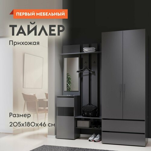 Прихожая СВ-Мебель Тайлер Графит 16670₽