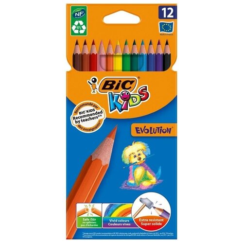 Карандаши цветные 12 цветов BIC Kids ECOlutions Evolution (L=175мм, D=5мм, d=3.2мм, 6гр, пластик) картонная упаковка (829029), 12 уп.