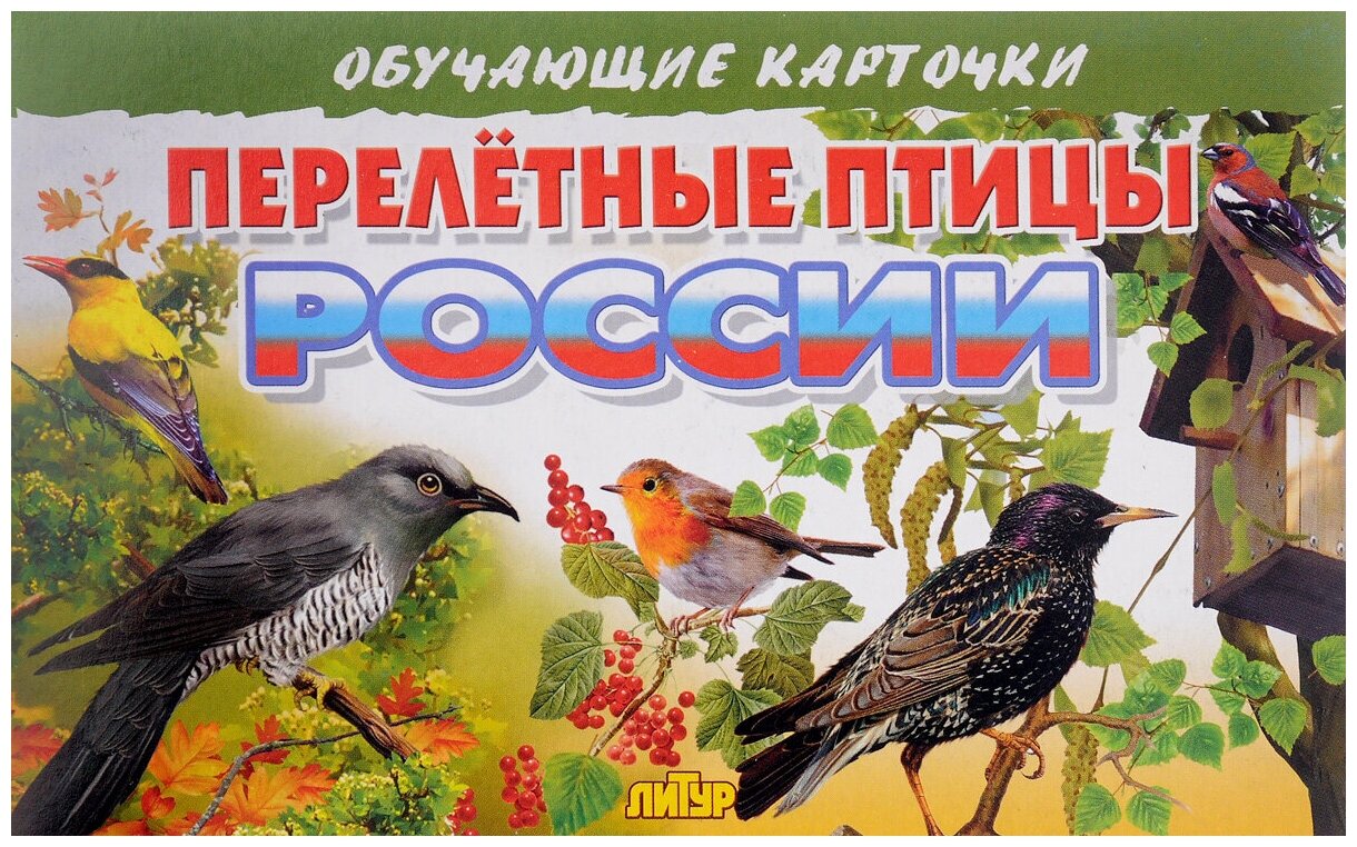 Перелетные птицы России. Обучающие карточки