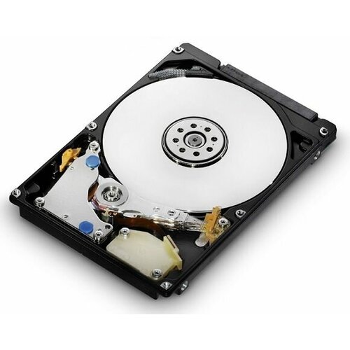 Жесткий диск SATA Western Digital 1W10001 1193800₽