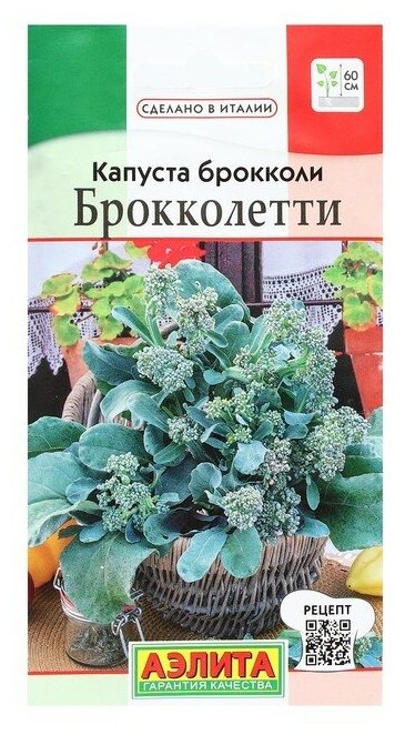 Капуста брокколи 