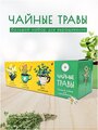 Набор для выращивания растений Чайные травы Plant Republic