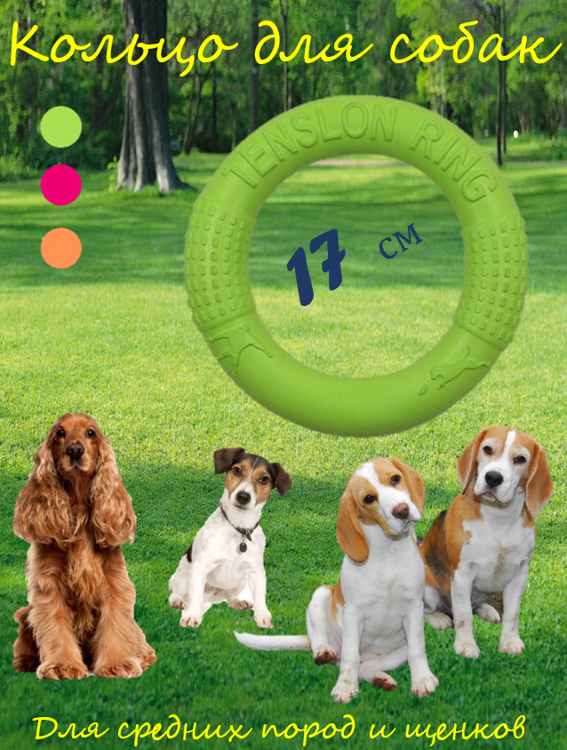 Игрушка для собак кольцо для средних пород легкое EVA материал, диаметр 17 см, зеленый - фотография № 1