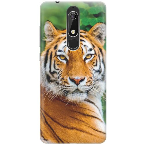 фото Re:pa накладка transparent для nokia 5.1 с принтом "портрет тигра"