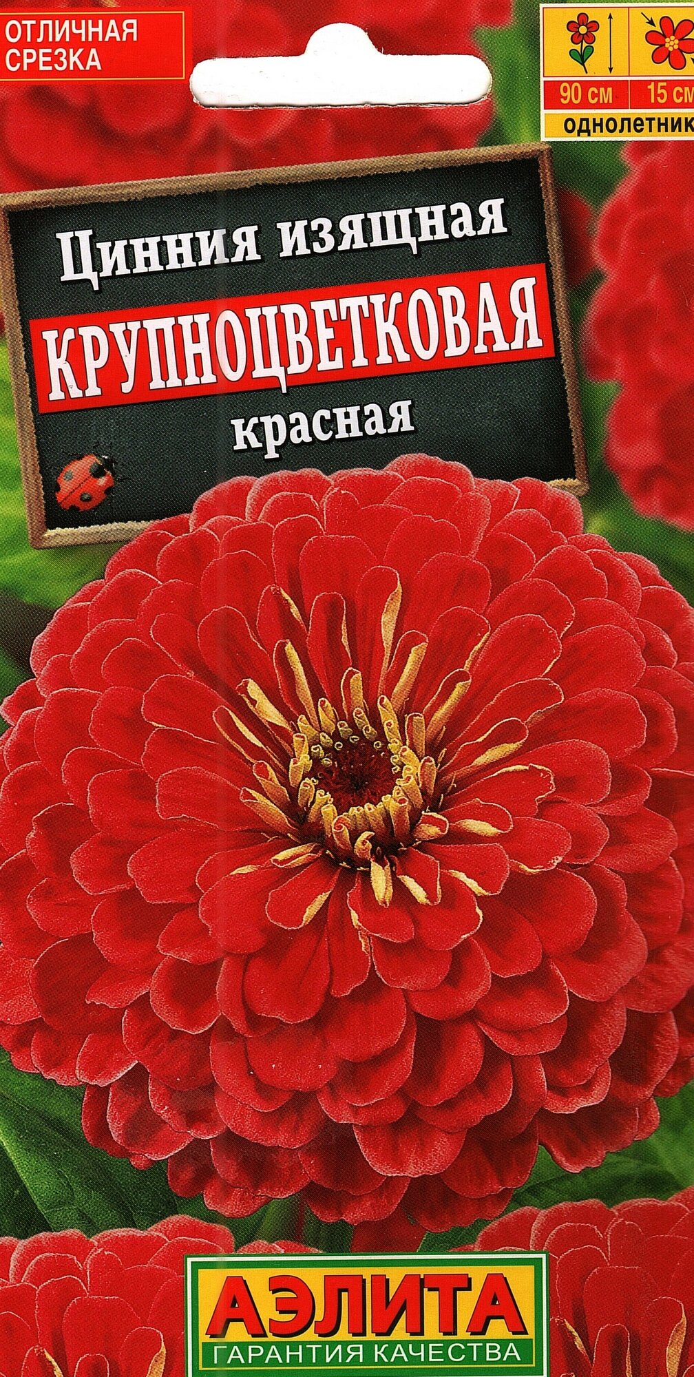 Цинния изящная крупноцветковая красная семена ( 1 уп: 03 г )