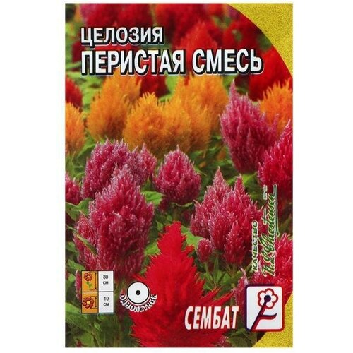 Семена цветов Целозия Перистая смесь 0,1 г 20 упаковок семена цветов целозия перистая лиллипут микс