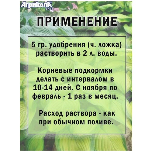 Удобрение для декоративнолистных растений 25 гр.