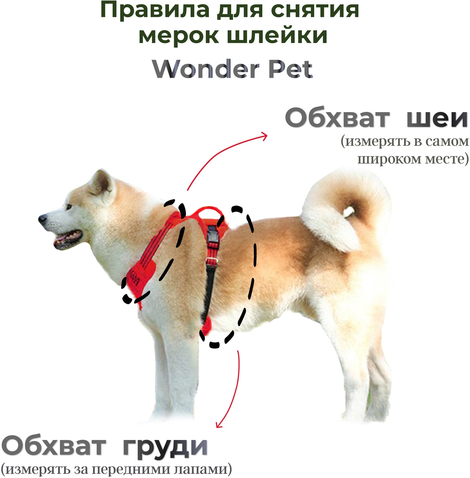 Шлейка прогулочная для собак средних и крупных пород / красный / размер L - фотография № 4
