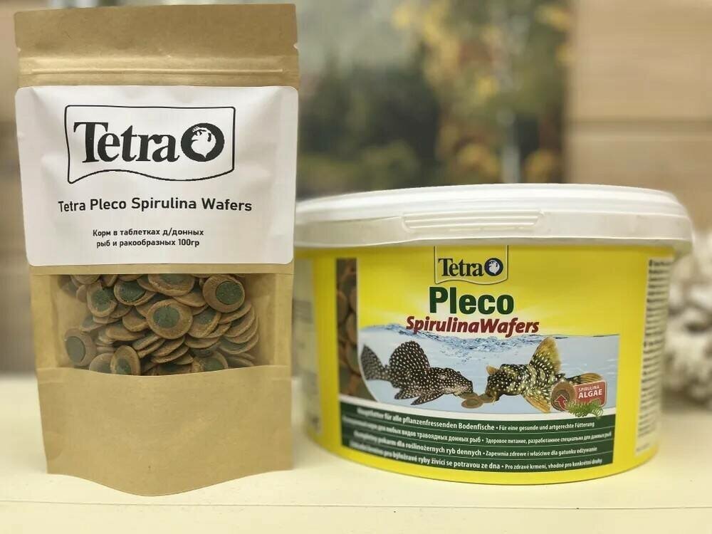 Tetra Pleco Spirulina Wafers корм для сомов и донных рыб со спирулиной 100 гр. 193840 - фотография № 5