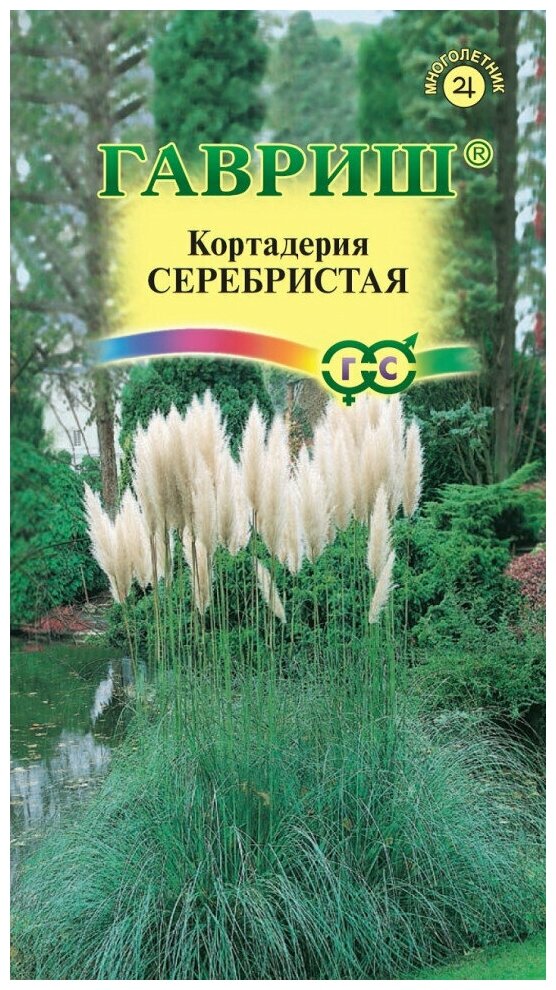 Семена Кортадерия (Пампасная трава) серебристая 8шт Гавриш Цветочная коллекция 10 упаковок